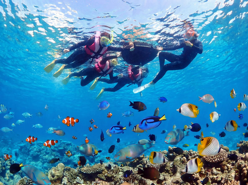 Okinawa Onna Village Blue Cave Snorkeling Experience (includes free GoPro rental) - Should you book this Onna Village snorkeling trip?