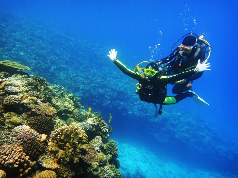 Okinawa Onna Village Blue Cave Snorkeling & Scuba Diving Experience - The Blue Cave Is the Star, Not a Guaranteed Stop