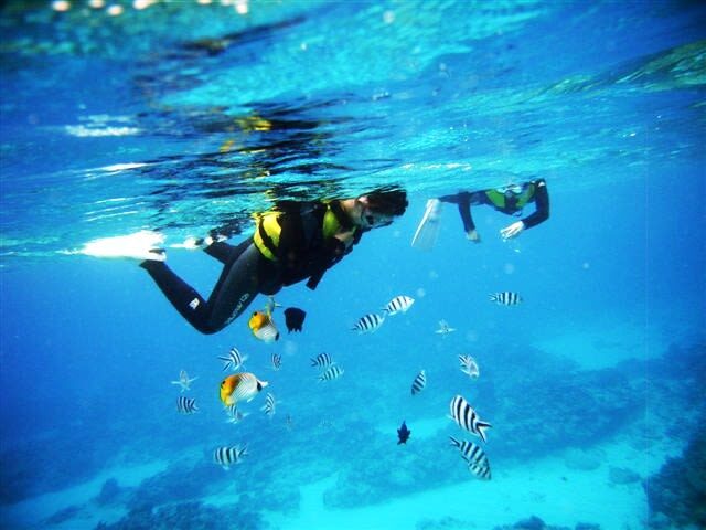 Okinawa Onna Village Blue Cave Snorkeling & Scuba Diving Experience - Choosing Snorkeling or Beginner Scuba