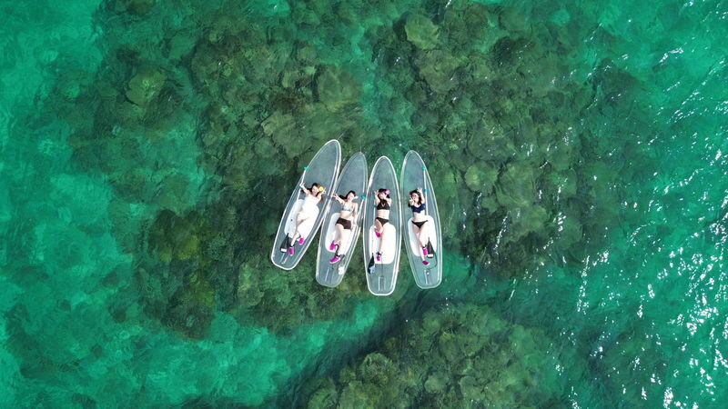 Okinawa Onna Village: Clear SUP Experience (with photo shoot) - A clear board changes the view
