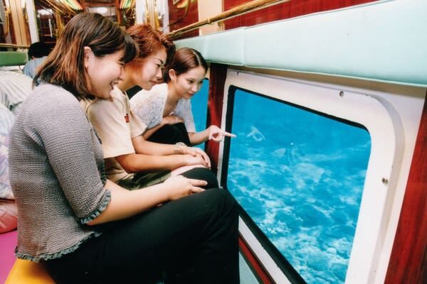 Okinawa Orca Underwater Boat & Teppanyaki Lunch Small Group Tour - A look at Okinawa’s sea without a swimsuit