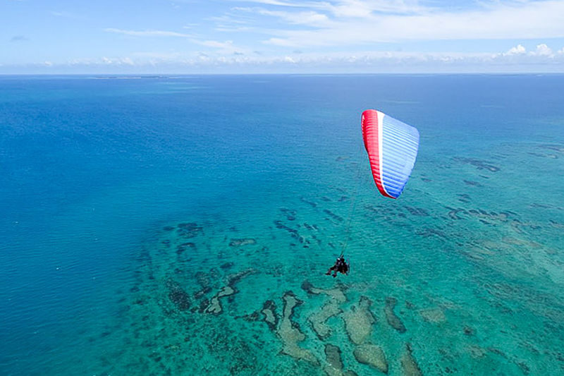 Okinawa Powered Paragliding Experience (Family Flights Available) - What to expect from the crew and communication