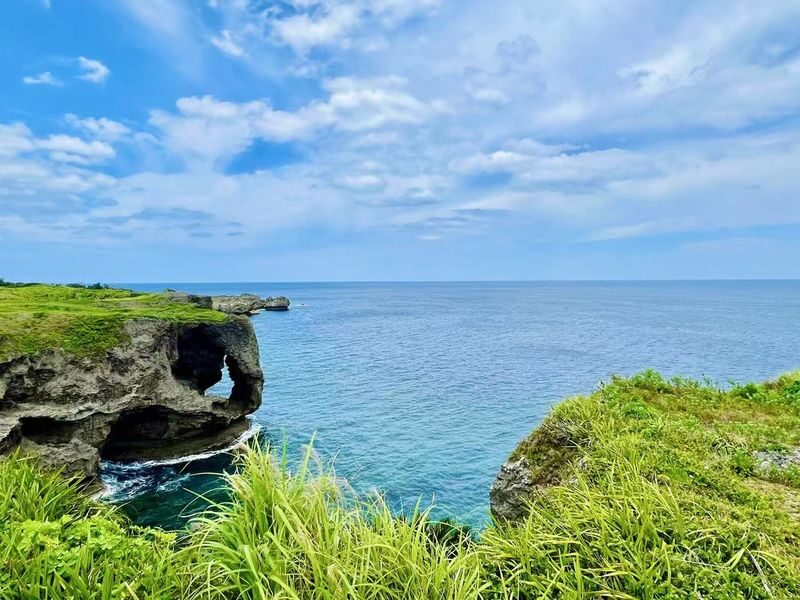 Okinawa: Private Chartered Car/Junglia Jurassic Park/Half-Day Tour/One-Day Tour - Key points before you book
