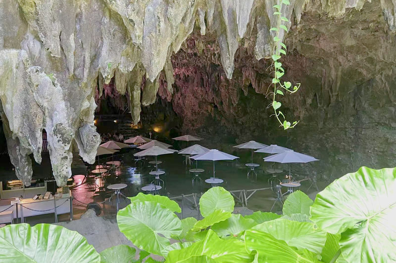 Okinawa: Private Chartered Car/Junglia Jurassic Park/Half-Day Tour/One-Day Tour - A private car makes Okinawa’s distances easier
