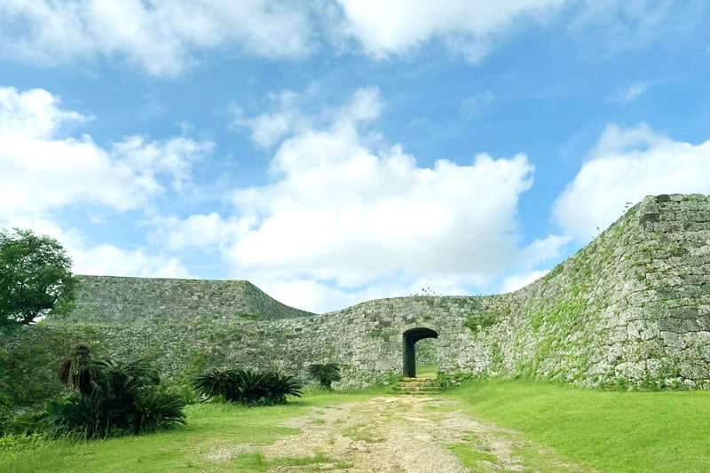 Okinawa: Private Chartered Car/Junglia Jurassic Park/Half-Day Tour/One-Day Tour - Pick a vehicle for people and bags, not just seats