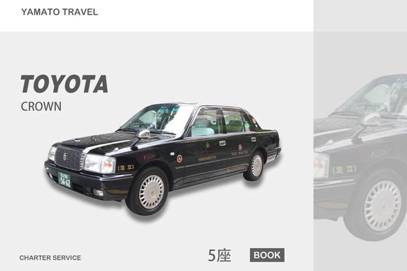 Okinawa: Private Chartered Car/Junglia Jurassic Park/Half-Day Tour/One-Day Tour - What the driver and language options add
