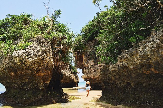 Okinawa Private Customizable Full Day Tour by Private Vehicle - Who Will Love This Tour?