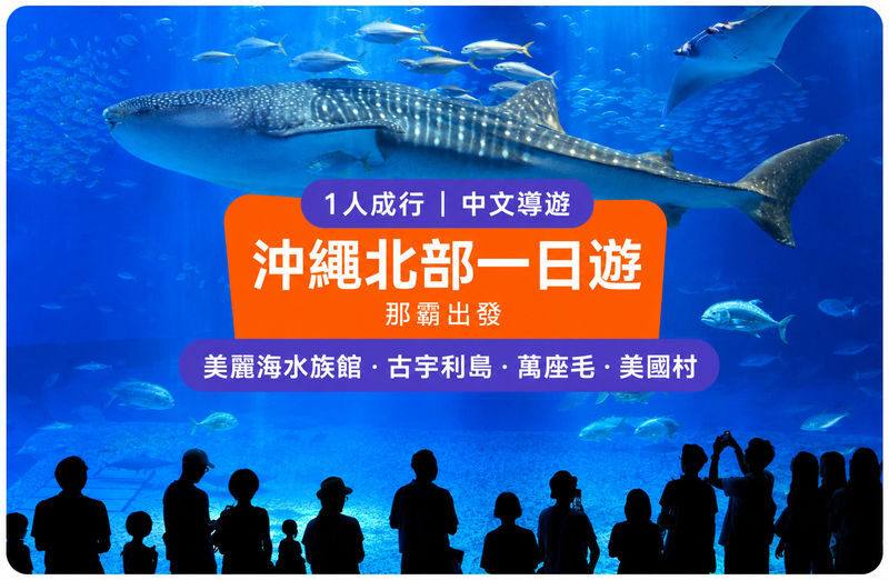 (Okinawas No. 1 Popular Northern Day Trip) Chinese-speaking guide, Includes admission tickets, 1 person can book: Churaumi Aquarium, Cape Manzamo, Kouri Island, American Village - A long northbound day from Naha