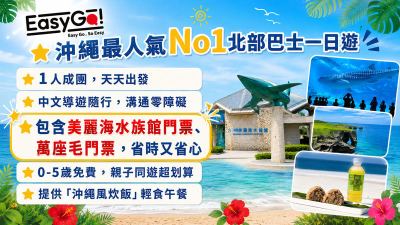 (Okinawas No. 1 Popular Northern Day Trip) Chinese-speaking guide, Includes admission tickets, 1 person can book: Churaumi Aquarium, Cape Manzamo, Kouri Island, American Village - Cape Manzamo’s cliff-top view
