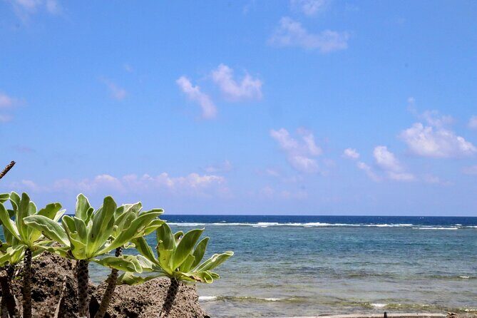 Okinawa: Sacred Island Tour to Kudakas Ryukyuan Holy Sites - An In-Depth Look at the Kudaka Island Sacred Sites Tour