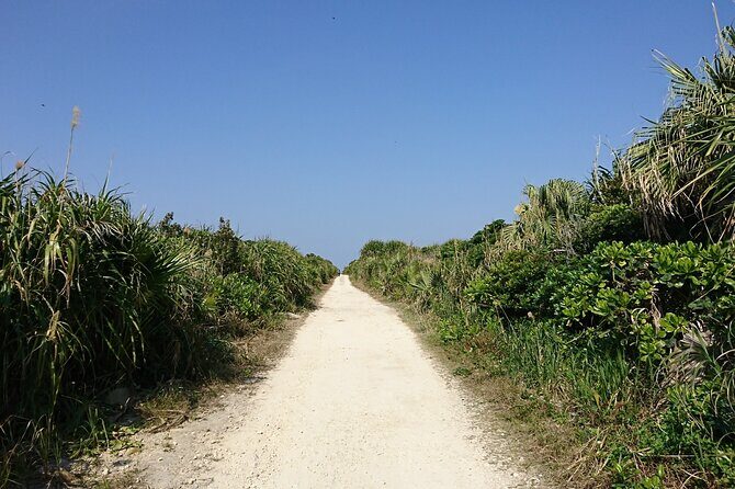 Okinawa: Sacred Island Tour to Kudakas Ryukyuan Holy Sites - Final Thoughts