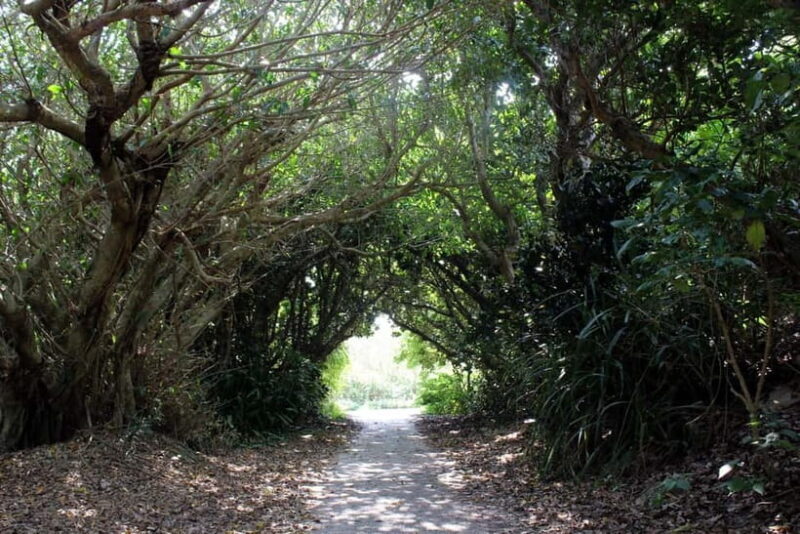 Okinawa: Sacred Island Tour to Kudakas Ryukyuan Holy Sites - A Close Look at the Kudaka Island Sacred Tour