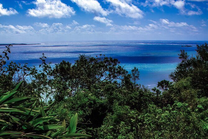 Okinawa: Sacred Sefa Utaki Walk into Ryukyus Spiritual - Frequently Asked Questions