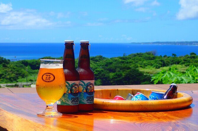 Okinawa Scuba Diving For Certified Divers (3 boat dives + Lunch) - Final Thoughts