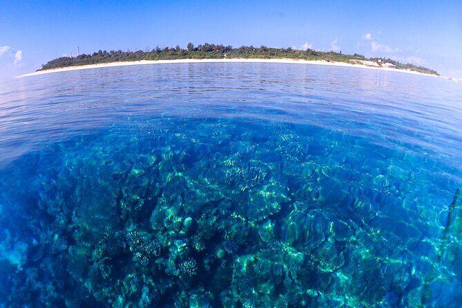 Okinawa: Scuba Diving Tour with Wagyu Lunch and English guide - FAQs