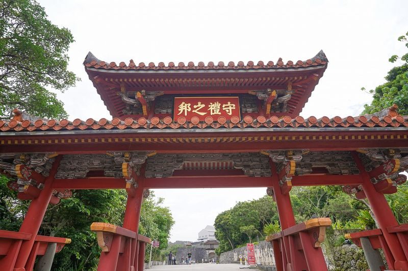 Okinawa Shuri Castle Peace Walking Tour - The Great Akagi Tree marks a sacred place
