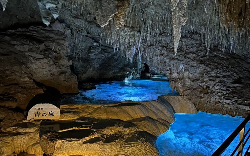 Okinawa Sightseeing Bus North and South Routes 1-Day Tour: Gyokusendo Cave, DMM Kariyushi Aquarium, Senagajima & Cape Manzamo, Churaumi Aquarium, American Village - Meeting point, timing and small things to plan ahead