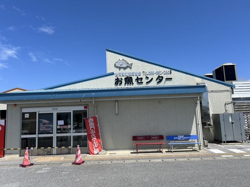 Okinawa Sightseeing Bus North and South Routes 1-Day Tour: Gyokusendo Cave, DMM Kariyushi Aquarium, Senagajima & Cape Manzamo, Churaumi Aquarium, American Village - Who should choose this Okinawa bus day?