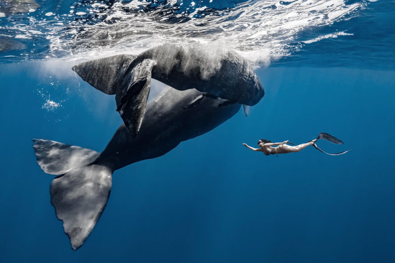 Okinawa Snorkeling/Diving Experience: Blue Cave, Whale Shark, Kerama Islands (Chinese/English Instructor + Equipment Included + Photography) - What Makes This Okinawa Water Trip Different