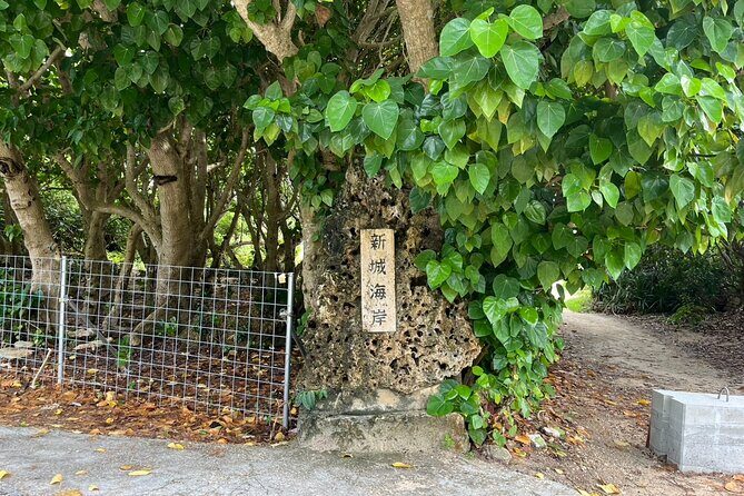 Okinawa Snorkeling Tour Experience - The Itinerary and Experience Breakdown