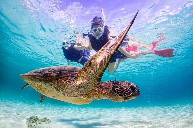 Okinawa Snorkeling Tour Experience - Considerations and Tips