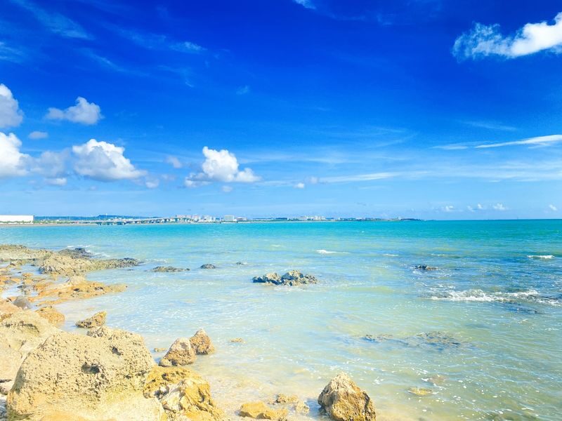 Okinawa South Day Tour: Gyokusendo Cave & Ryukyu Kingdom Village - Senaga Island - Sea Grape Picking - Itoman Fish Market - Cape Chinen - All-You-Can-Eat Yakiniku | Departure from Naha - Itoman Fish Market: choose lunch your own way