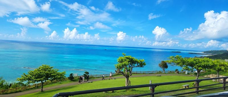 Okinawa South Day Tour: Gyokusendo Cave & Ryukyu Kingdom Village - Senaga Island - Sea Grape Picking - Itoman Fish Market - Cape Chinen - All-You-Can-Eat Yakiniku | Departure from Naha - Senaga Island: sea views, shops, and planes near Naha