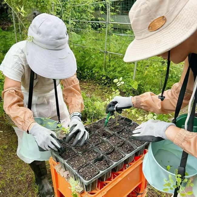 Okinawa: Traditional farming experience & cooking and a meal - Who Will Love This Tour?