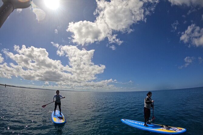 Okinawa West Coast 3-Hour Paddle-boarding adventures - What We Love About This Experience