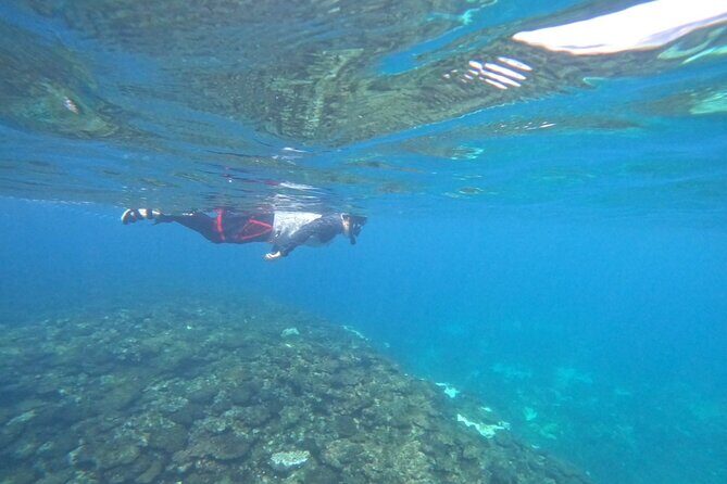 Okinawa West Coast 3-Hour Paddle-boarding adventures - Who Should Consider This Tour