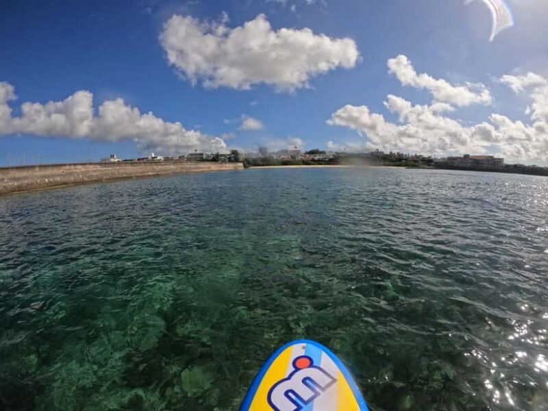 Okinawa: West Coast Stand-Up Paddleboarding Experience - Key Points