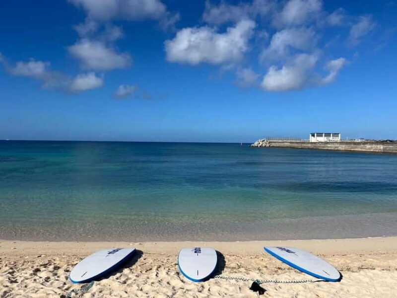 Okinawa: West Coast Stand-Up Paddleboarding Experience - Detailed Breakdown of the Experience