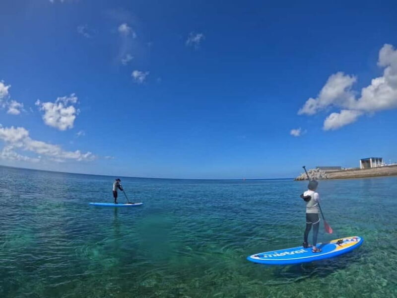 Okinawa: West Coast Stand-Up Paddleboarding Experience - The Value and Who It’s Best For
