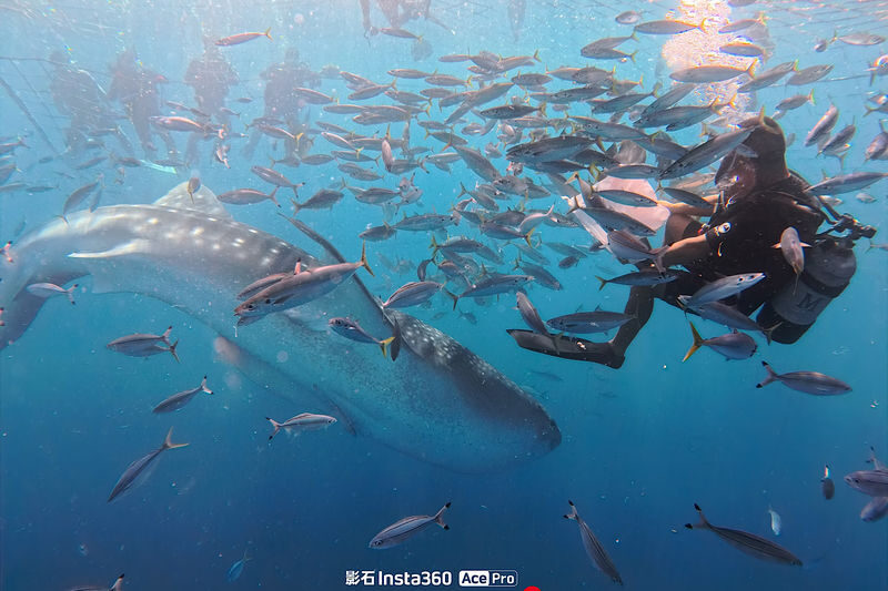 Okinawa Whale Shark Discover Scuba Diving Experience - The route from Toya Fishing Port to Top Marine