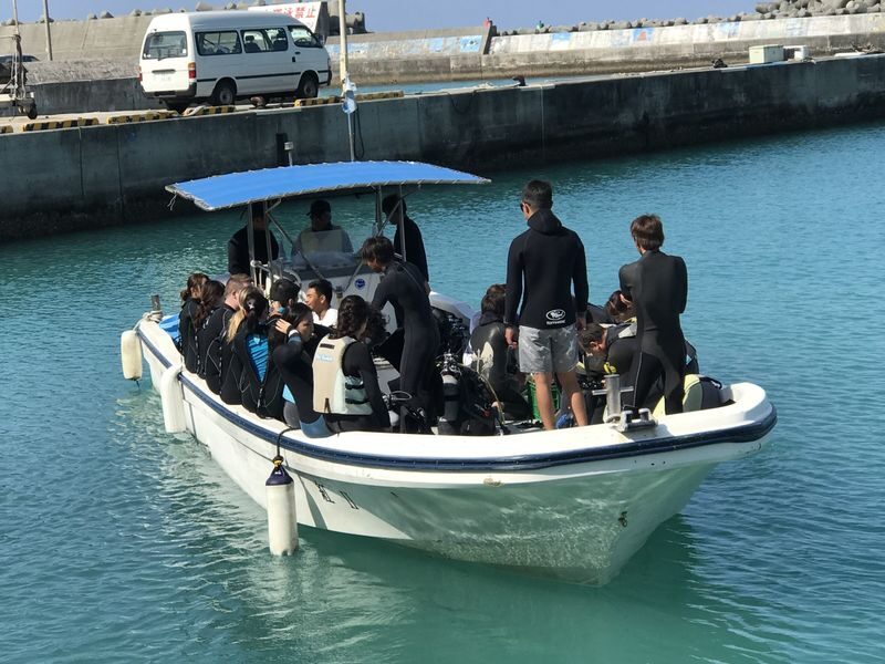 Okinawa Whale Shark Encounter Experience - Thirty to forty minutes beside the shark