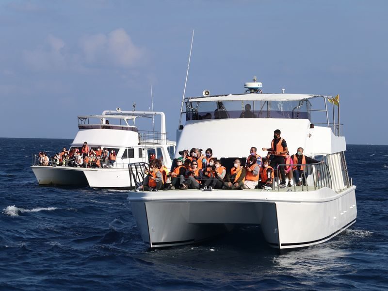 Okinawa Whale Watching: Choose from three departure locations: Naha, Chatan, or Motobu - Should you book?