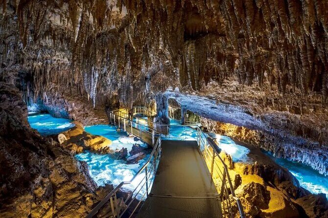 Okinawa World Admission Ticket - Okinawa World Admission Ticket: A Genuine Dive into Okinawa’s Culture and Nature