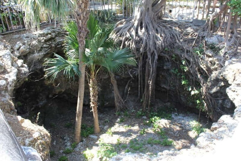 Okinawa: WWII Himeyuri Memorial & Peace Museum Guided Tour - Frequently Asked Questions