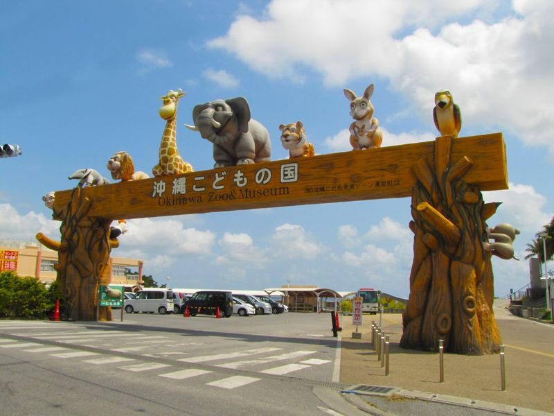 Okinawa Zoo & Museum Admission Ticket - Following the animal paths