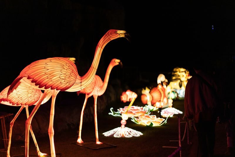 Okinawa Zoo & Museum Admission Ticket - What the ticket costs, and what it saves