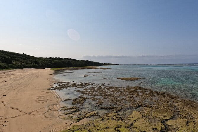 Okinawa's Gorgeous Beach & Snorkel Tour: Private & Customised - An In-Depth Look at Okinawa’s Beach & Snorkel Tour