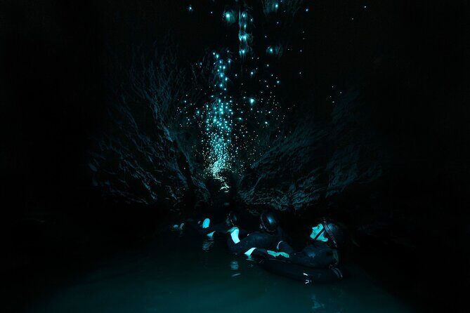 Okohua Glowworm Cave Adventure - Comparing to Other Waitomo Experiences