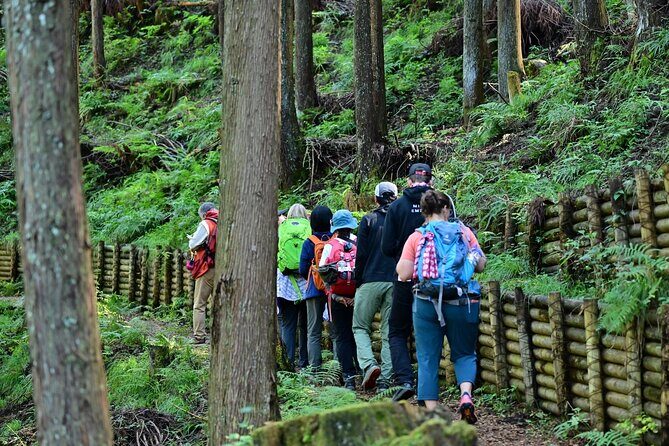 Okutama Forest Therapy Shinrin-yoku Tour with Lunch Options - What Is Forest Bathing and Why Does It Matter?