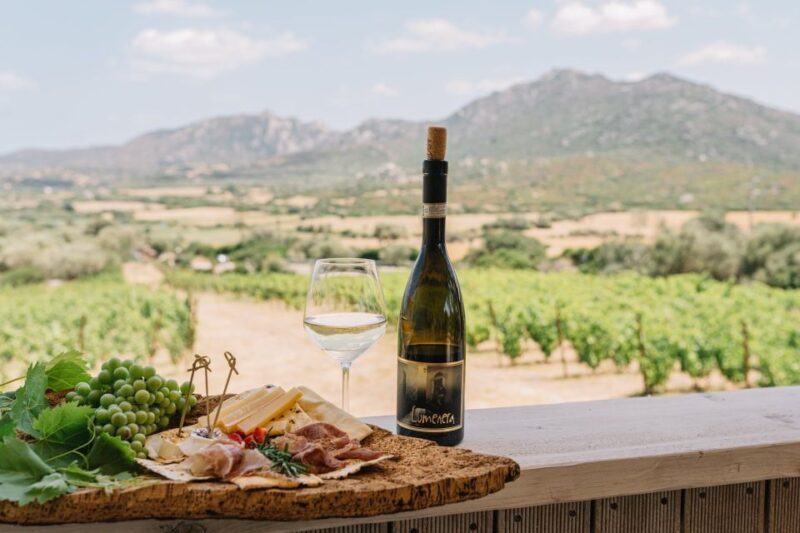 Olbia: Gallura Winery Guided Tour with Tasting - A Deep Dive into the Wine and the Experience