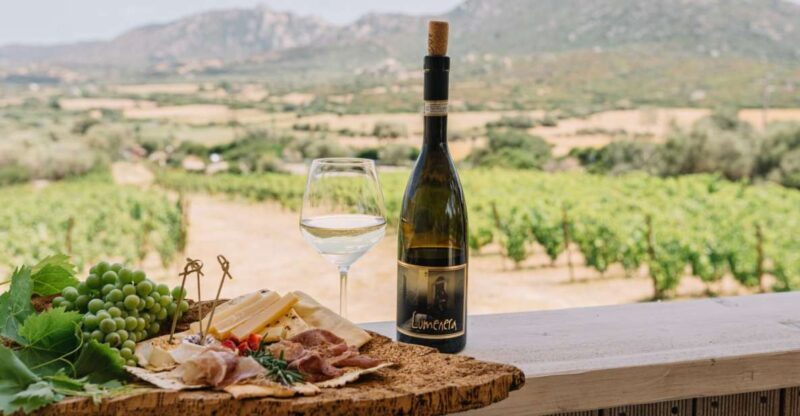Olbia: Gallura Winery Guided Tour with Tasting - Authenticity and Personal Touch