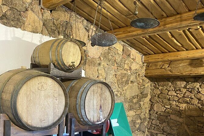 Olbia LONGEVITY TOUR in an ancient village: pasta class,wine,food - Final Thoughts