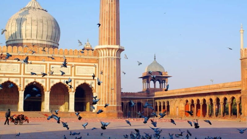 Old and New Delhi Private Full or Half Day Tour Upto 8 Hours - Frequently Asked Questions
