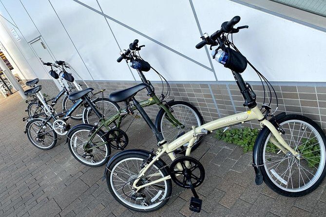 Old and New Tokyo Half Day Cycling - Tokyo Bay Olympic Sites by Bike - Authenticity, Views, and Insider Info