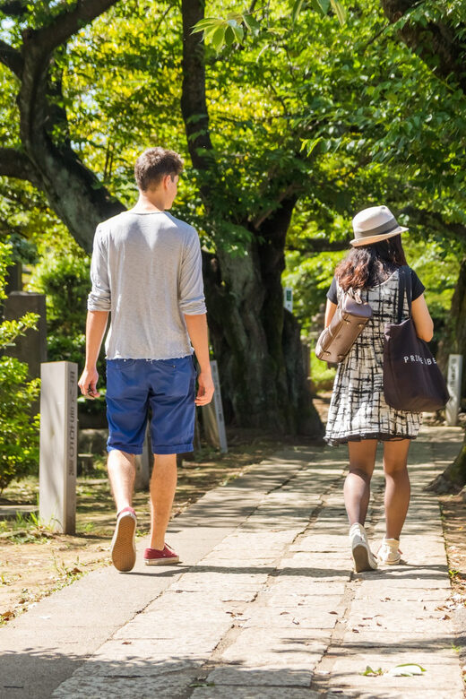 Old and Nostalgic Tokyo: Half-Day Yanaka Walking Tour - Key Points