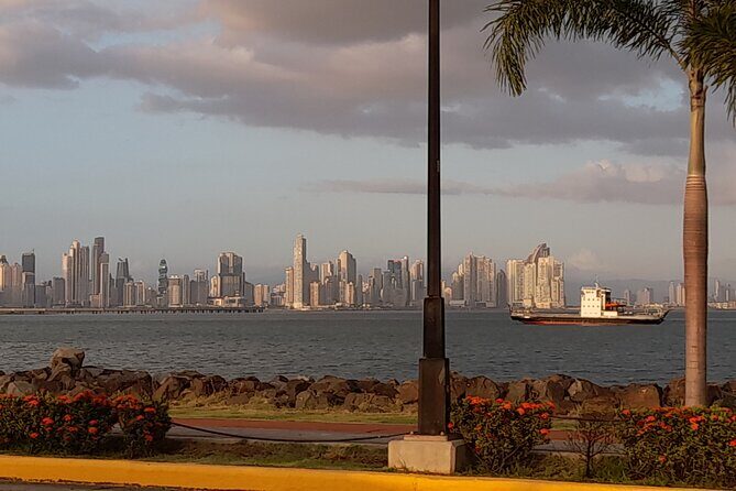 Old Canal zone tour (Miraflores Locks, former bases, and Museum) - Who Should Consider This Tour?